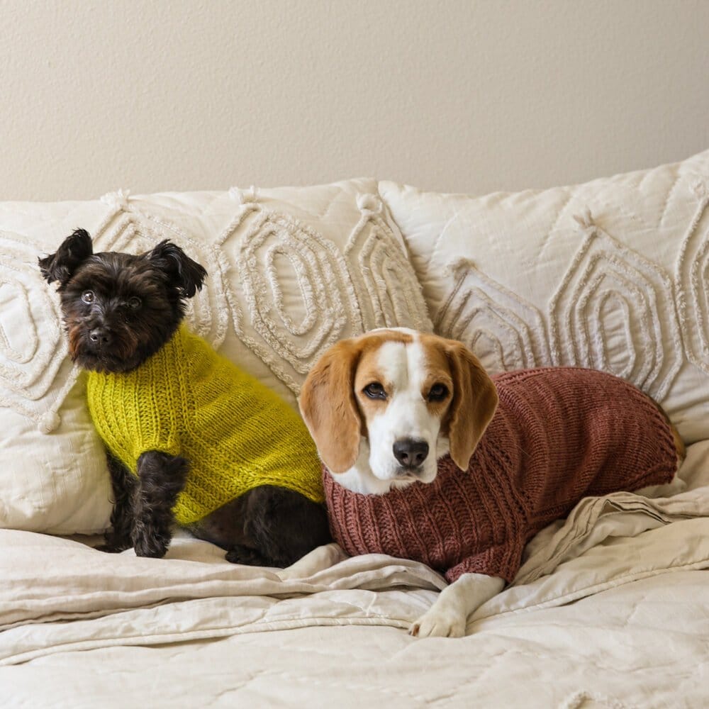 Ursa Canis: For the discerning dog